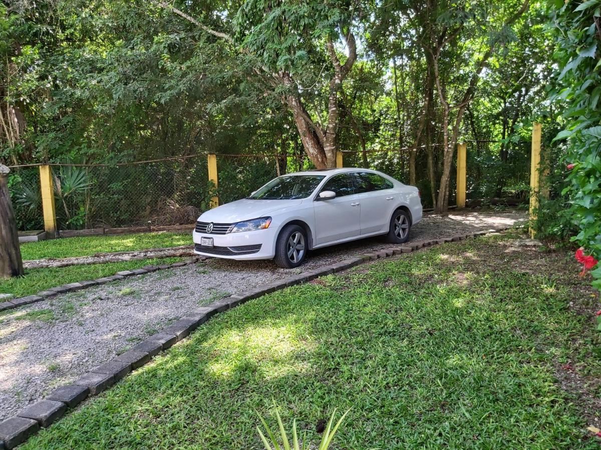 New! Casa Xola Cenote And Fauna Loft Cozumel Exterior foto
