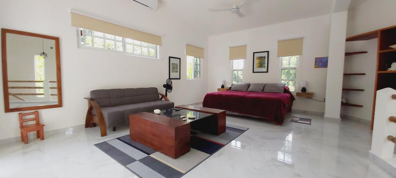 New! Casa Xola Cenote And Fauna Loft Cozumel Exterior foto